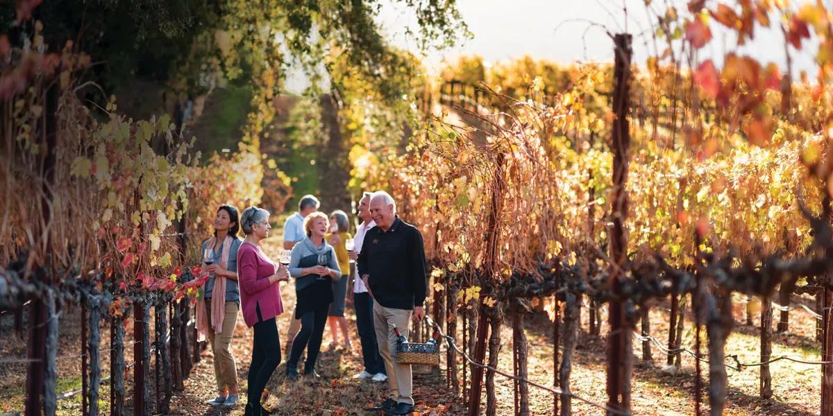 Guests drinking in the vinyards of Madrone Winery in Sonoma, California, USA