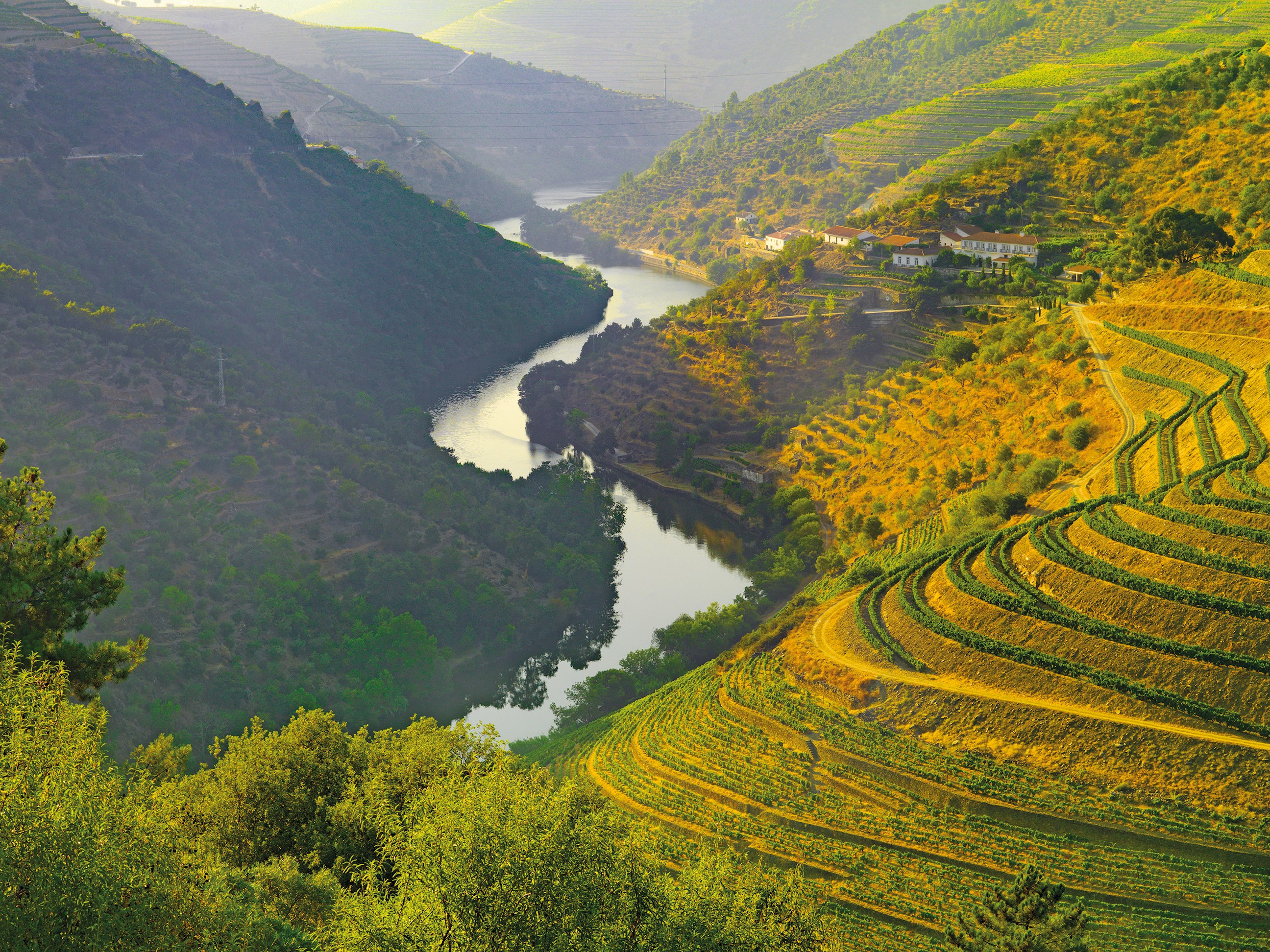 Country Roads of Portugal