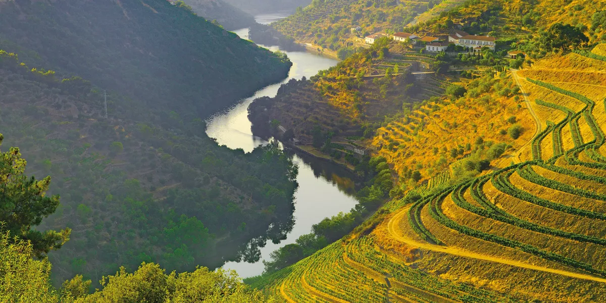 Country Roads of Portugal
