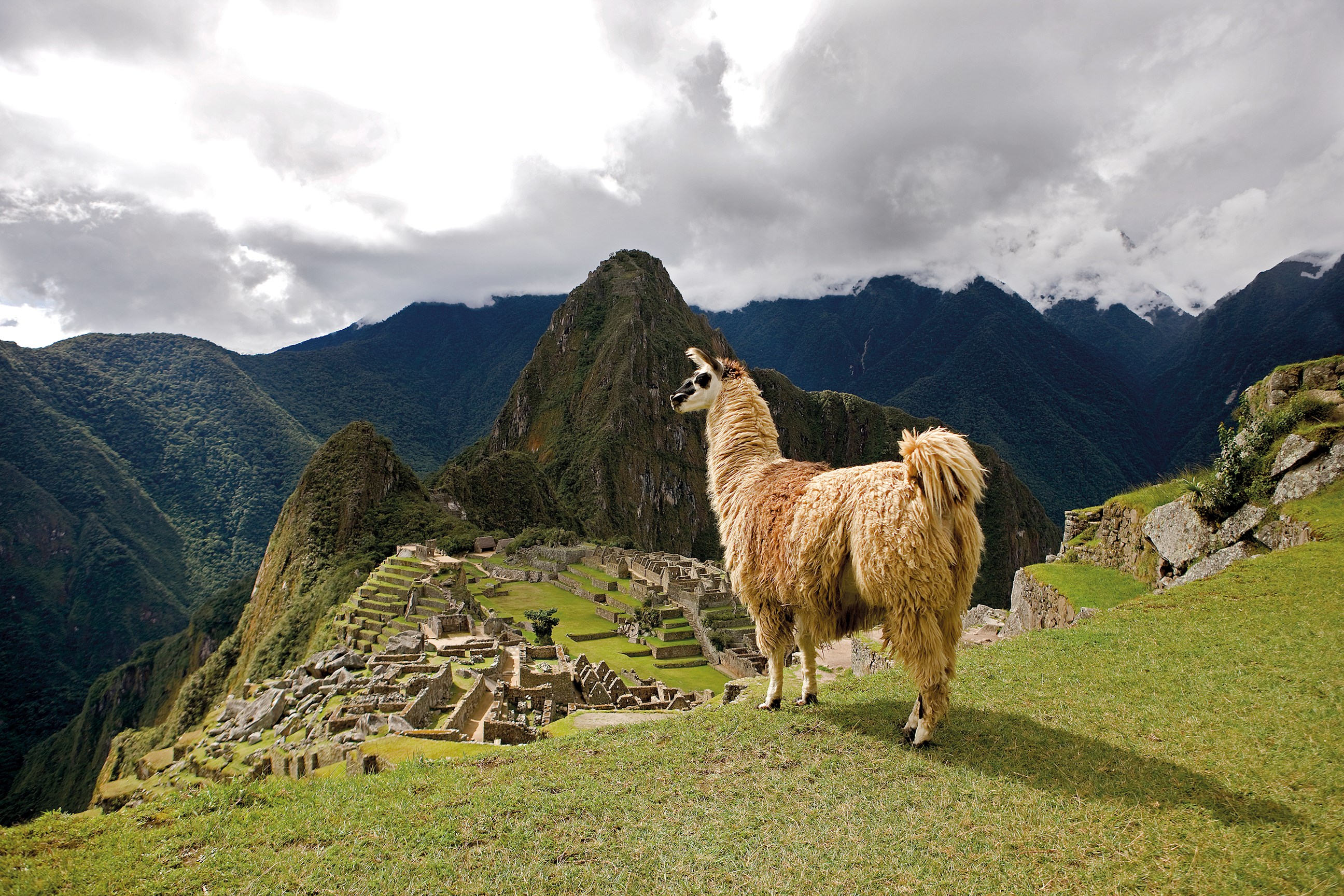 machu picchu self guided tour