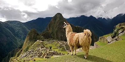 Peru with Machu Picchu and Nazca Lines Guided Tour