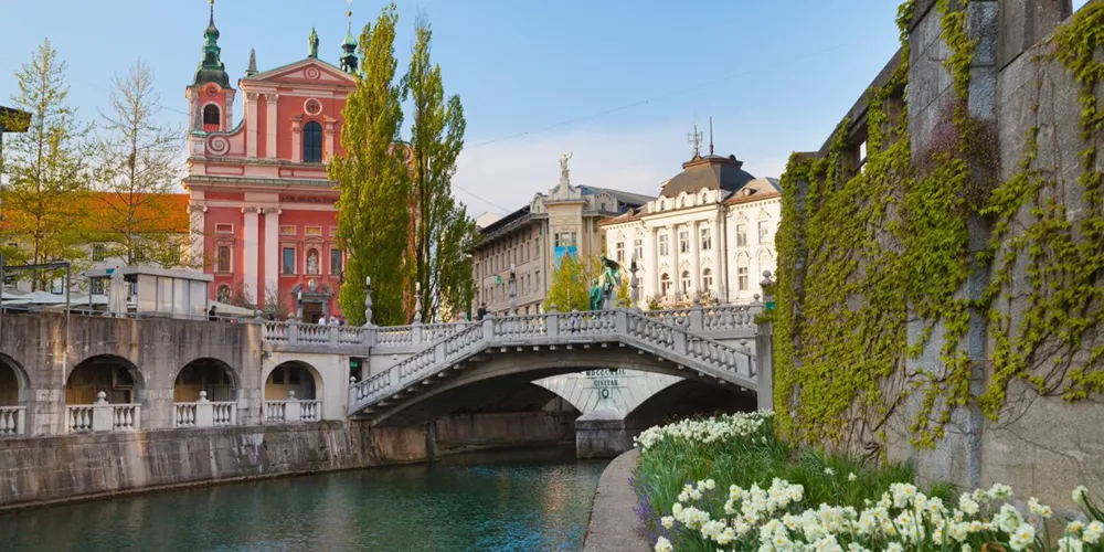 A view of Franciscan Church in Ljubljana, Slovenia