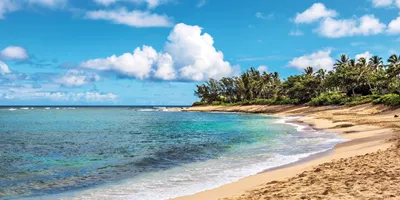 Hawaii, Oahu, Maui and Big Island Guided Tour