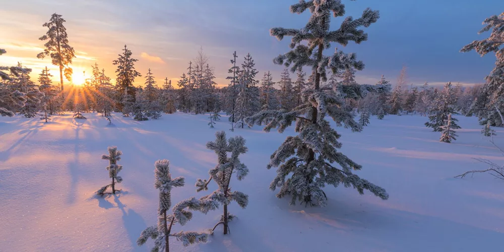 Large The Arctic Sunset Vennivaara Rovaniemi Lapland Finland 658584070