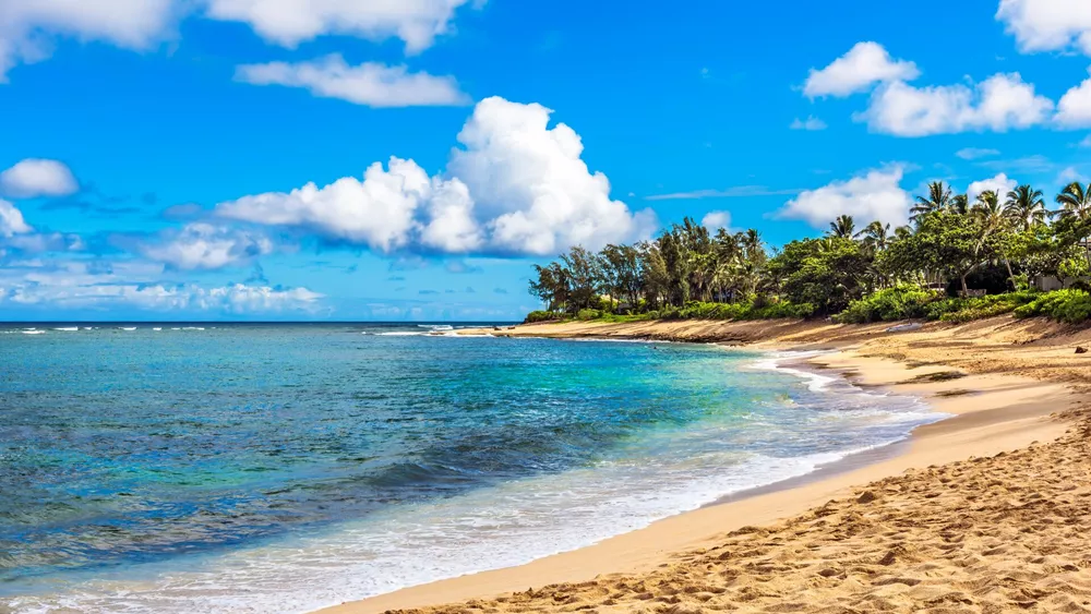 Sunset on the beach in Oahu, Hawaii
