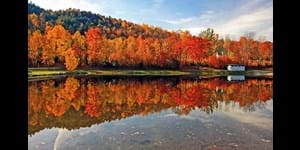 New England's Spectacular Fall Foliage Guided Tour