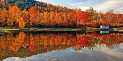 New England's Spectacular Fall Foliage Guided Tour