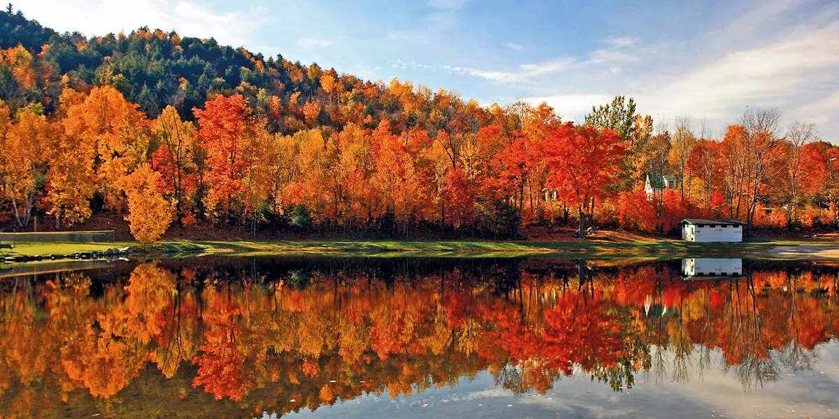 New England's Fall Foliage Guided Tour