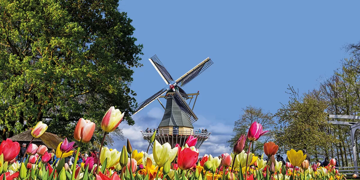 Country Roads of Belgium, Luxembourg and the Netherlands Guided Tour