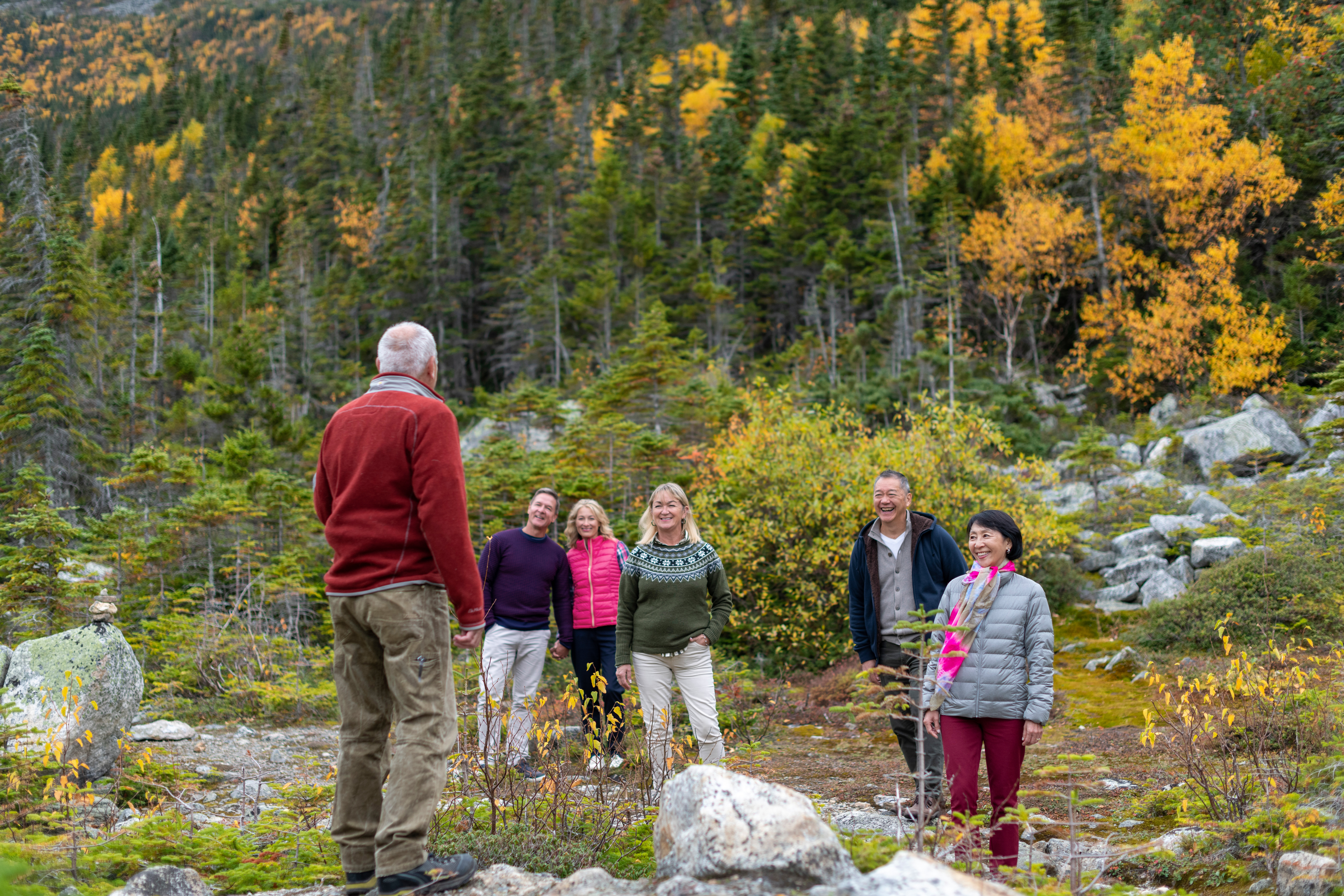 A group of tourists in a forest.