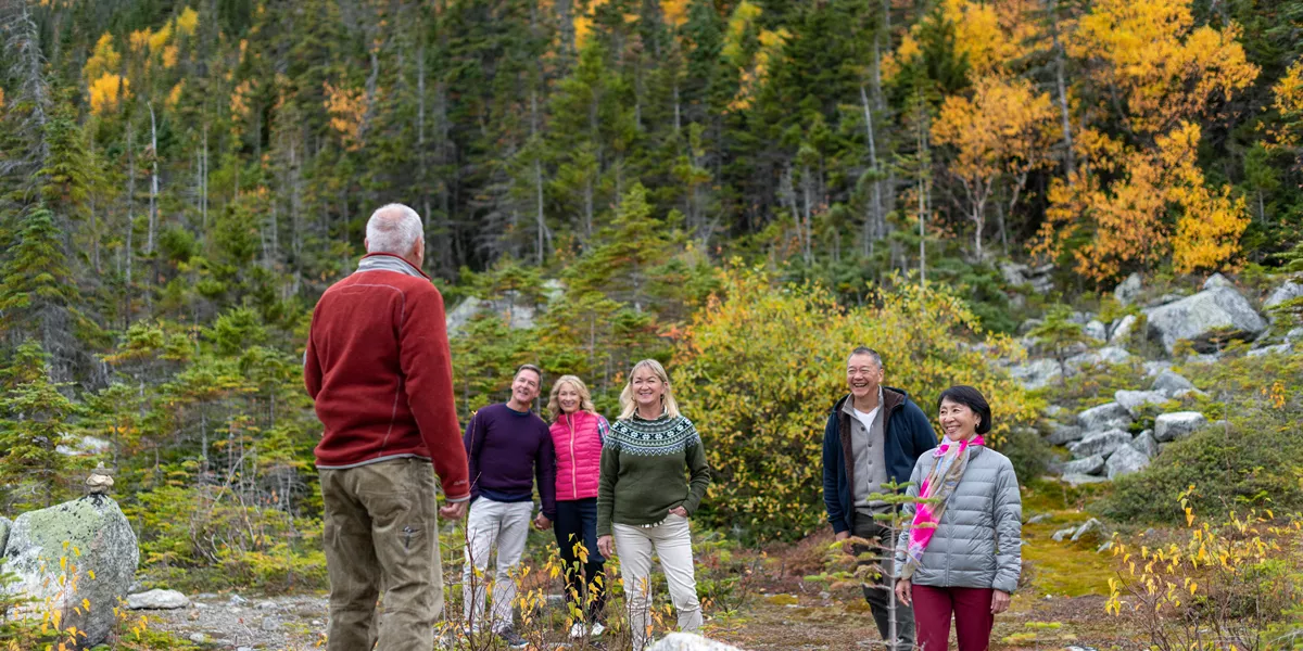 A group of tourists in a forest.