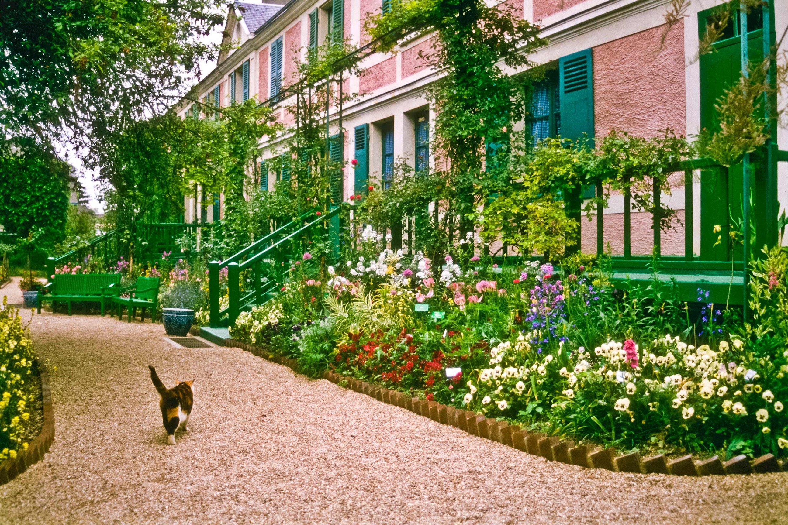 Giverny garden path with  colourful flowers, cat and Monet’s house in France