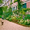 Giverny garden path with colourful flowers, cat and Monet’s house in France