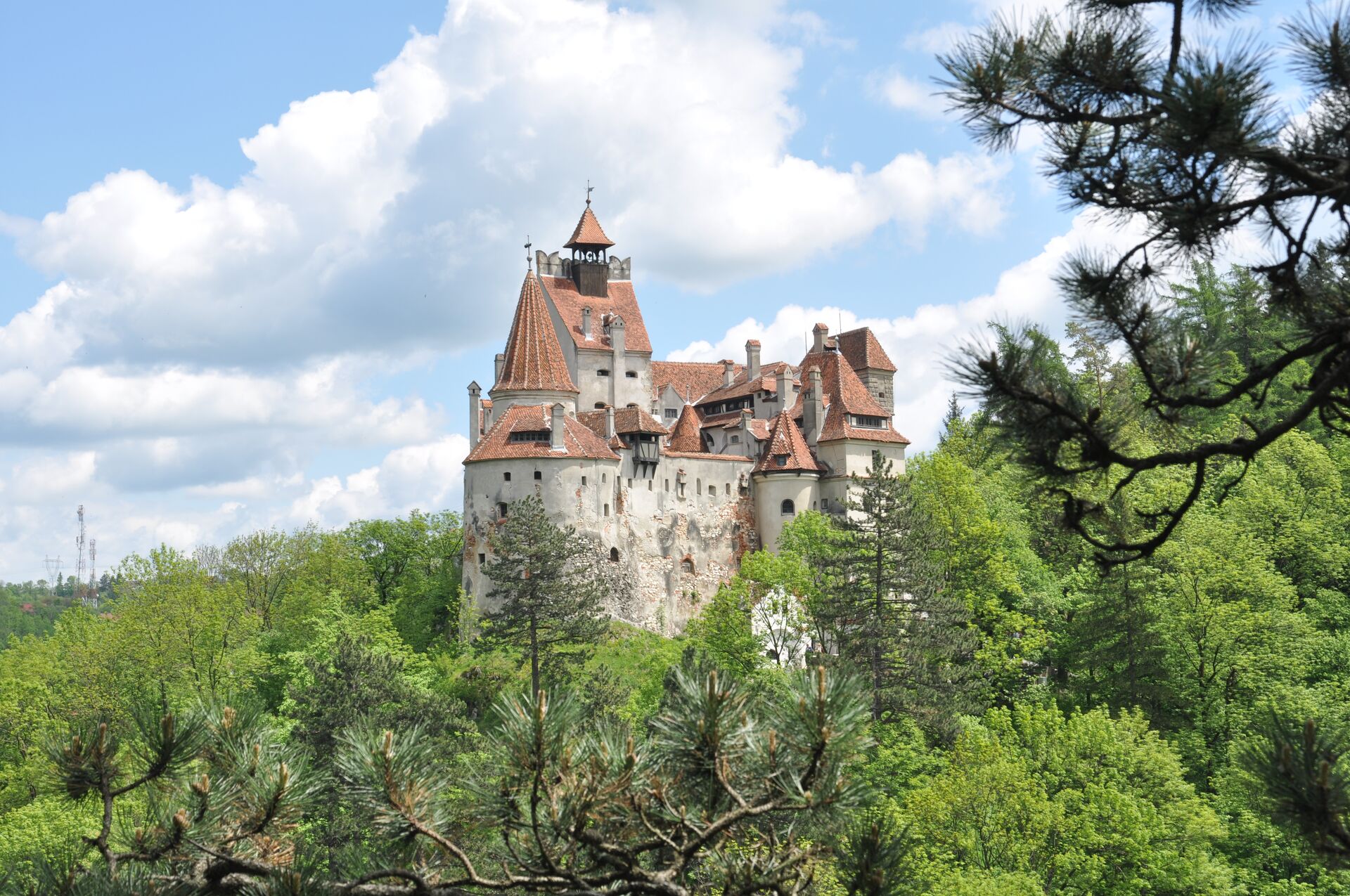 Large Dracula's Bran Castle In Spring Season View From The Forest 146809226