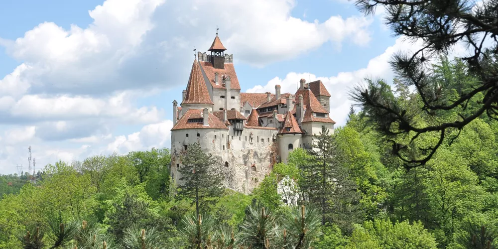 Large Dracula's Bran Castle In Spring Season View From The Forest 146809226