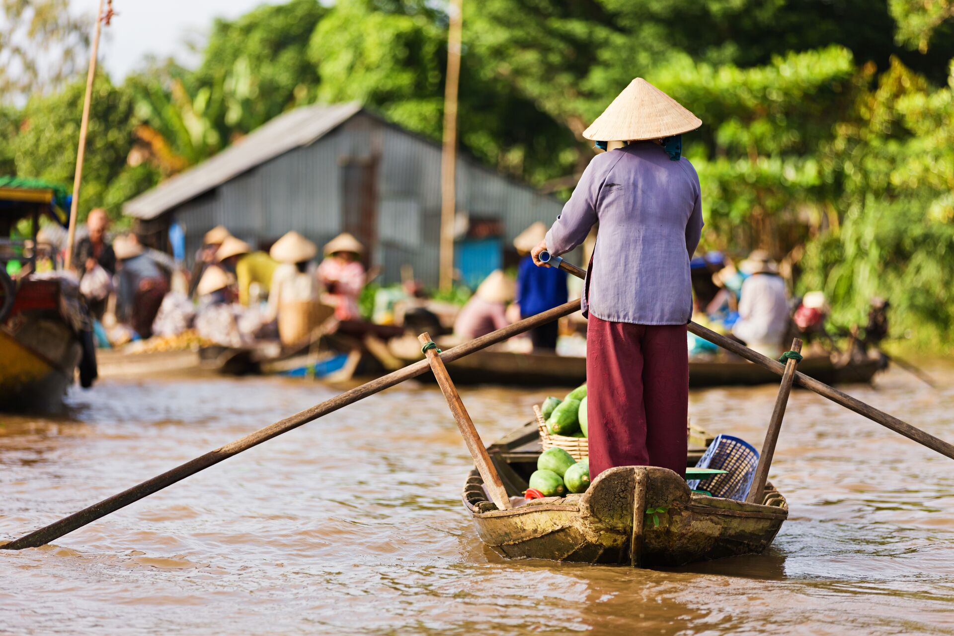Vietnamese woman rowing a boat in the Mekong River Delta, Vietnam