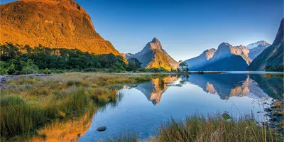 The Long White Cloud Luxury Tour