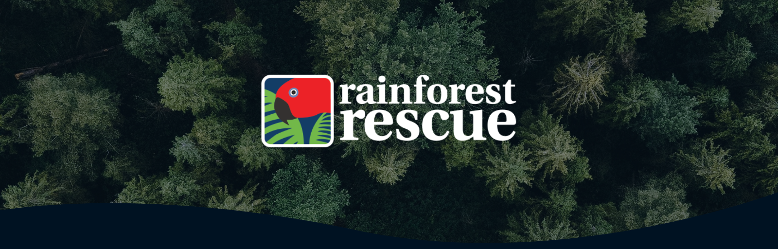 Rainforest Rescue Web Banner