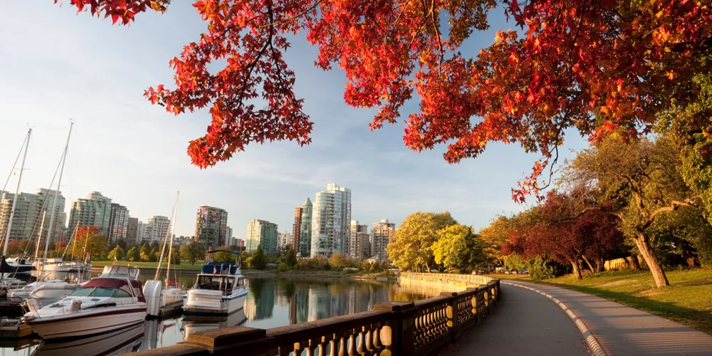 Large Vancouver Stanley Park 157506090