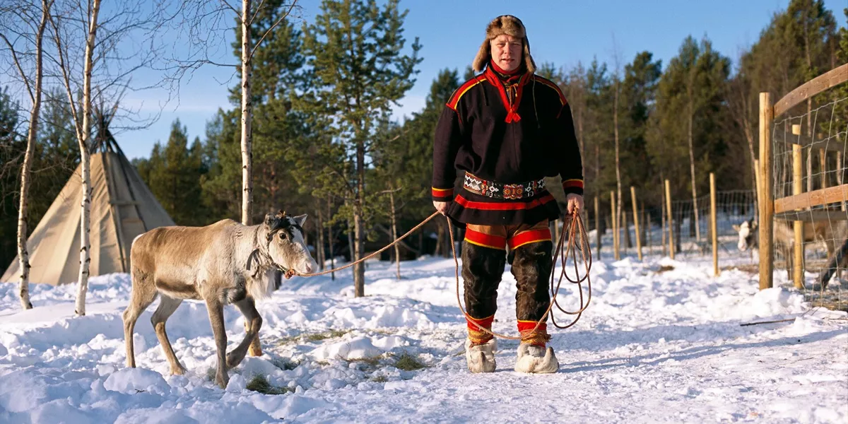 A Sami reindeer breeder and a reindeer in Lapland during winter