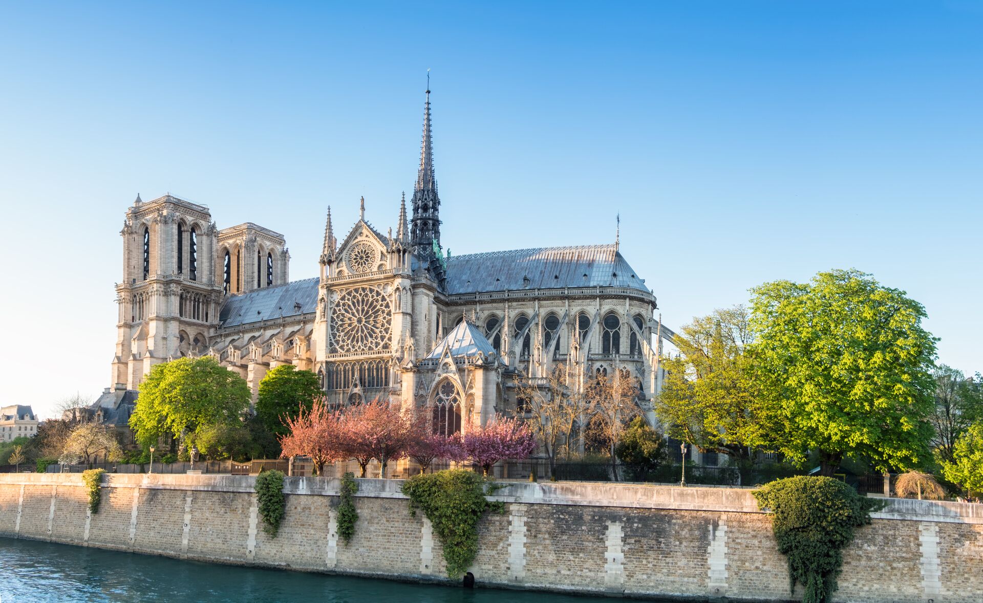 Notre Dame Cathedral on a bright afternoon during spring in in Paris, France