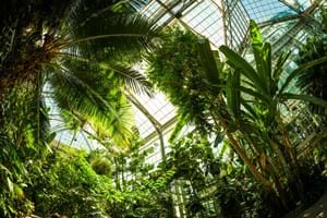 University Botanic Gardens Warsaw, Poland