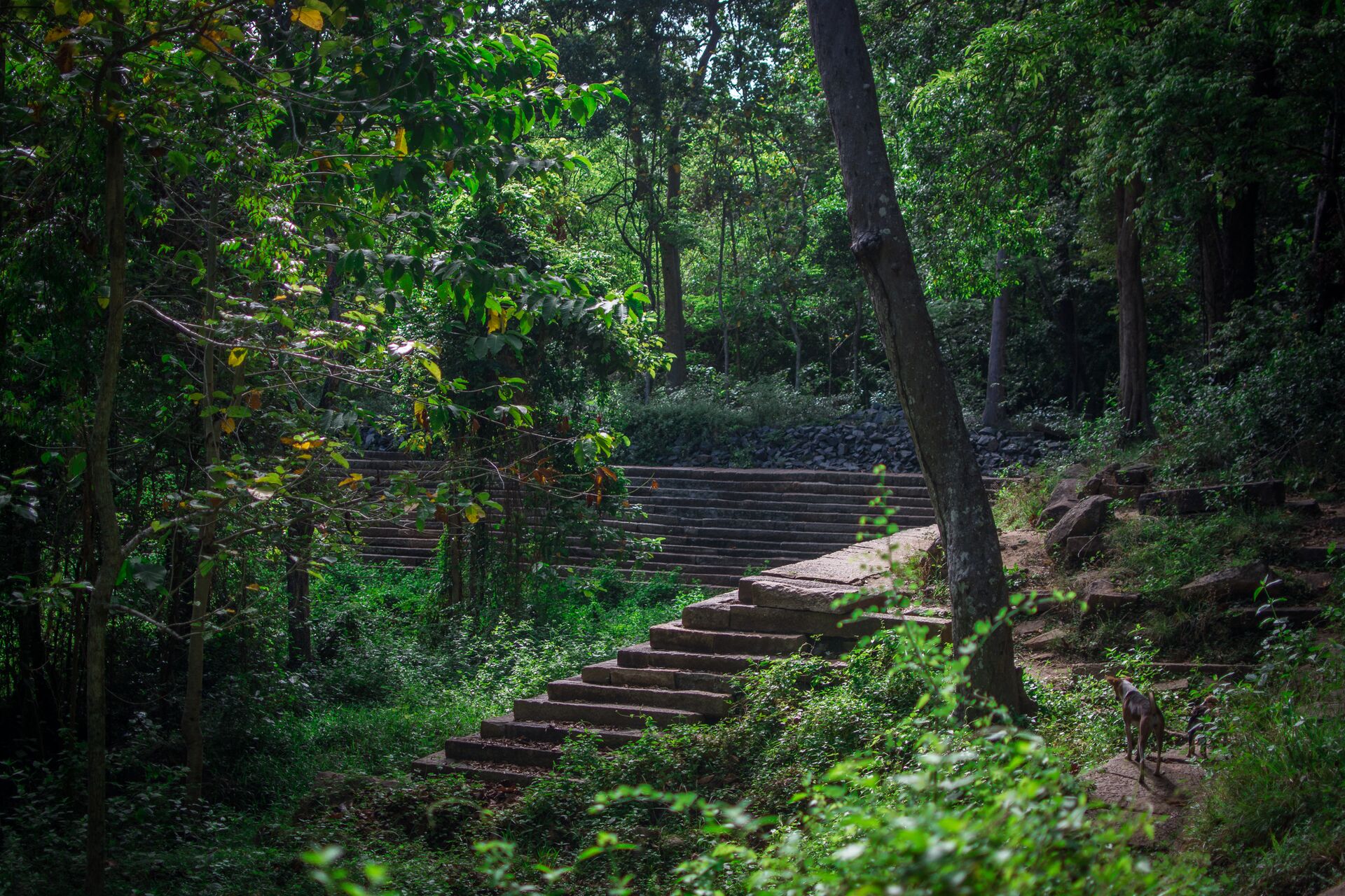 The Ruins At Ritigala a jungle national park in Sri Lanka