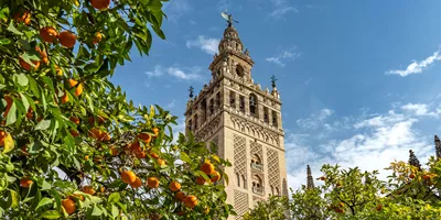 Highlights of Spain Guided Tour