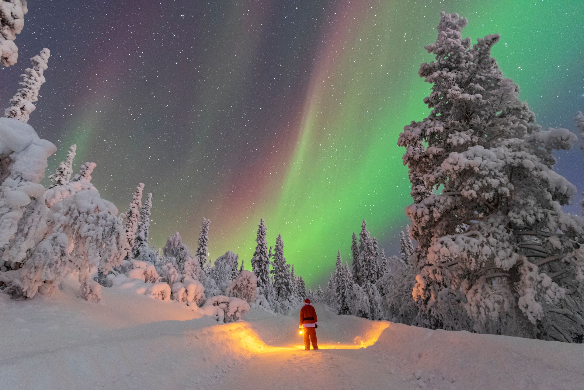 Santa looking up at the Northern Lights in the Finnish forest