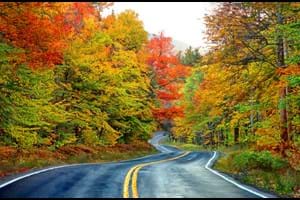 Autumn Colours, White Mountain, USA