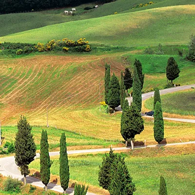 Italy Guided Tours and Travel Guide
