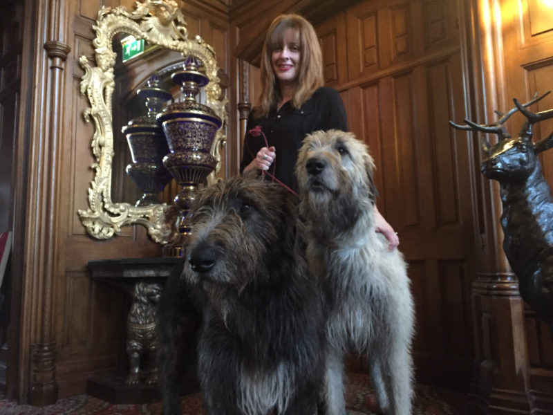 Wolfhounds