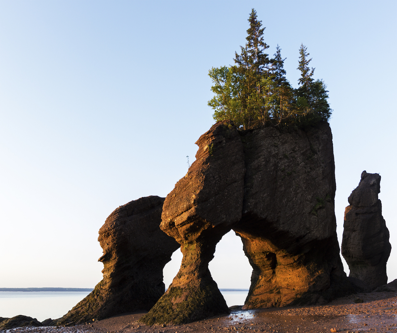 The Bay of Fundy 