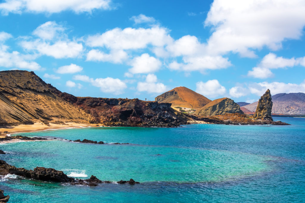 The Galapagos Islands