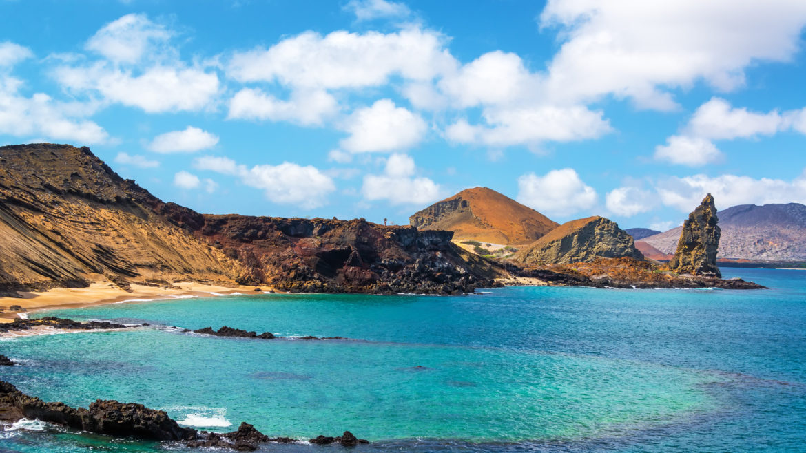 The Galapagos Islands