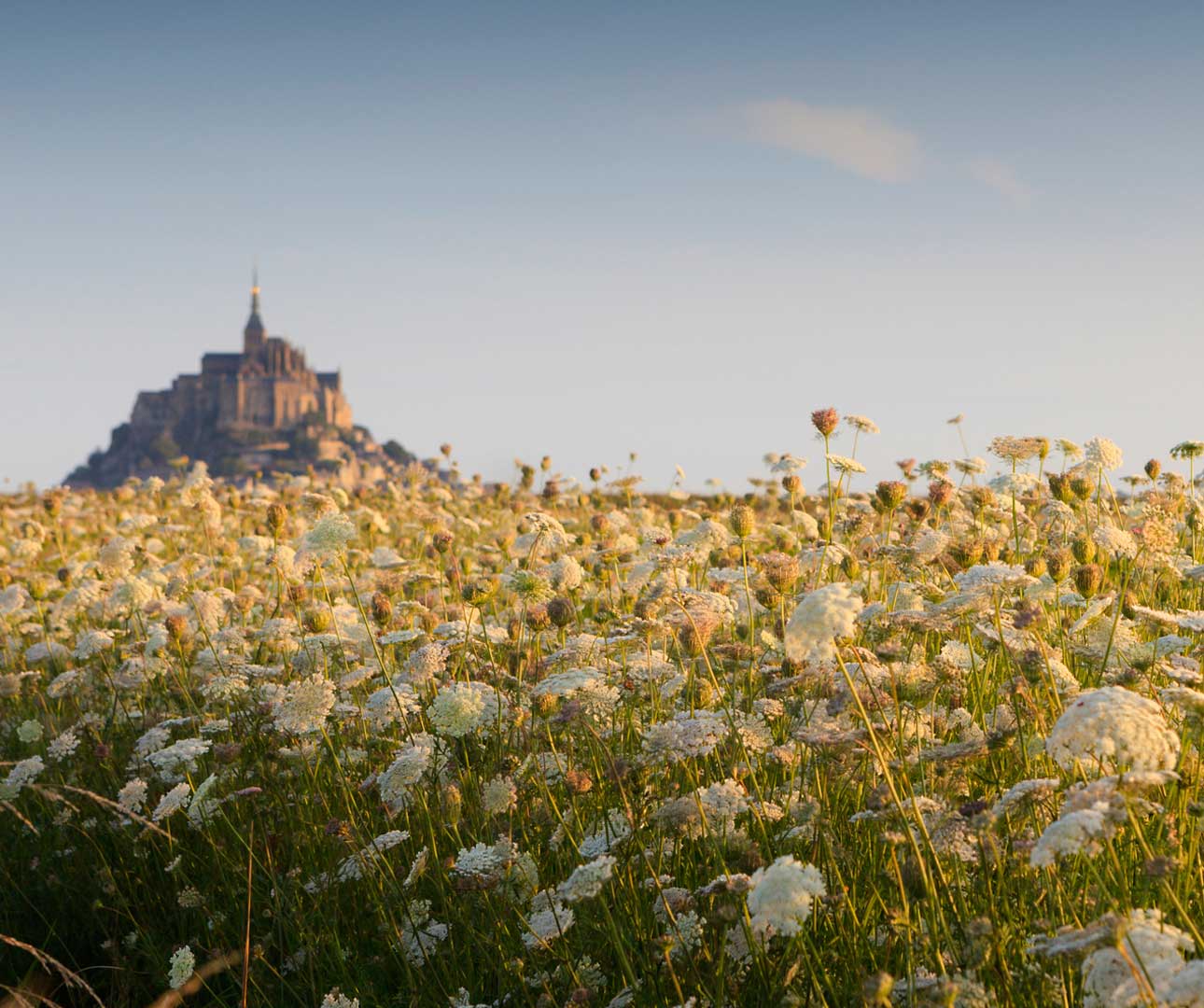 La Voie Française: An Interview with Travel Director Peter Meahan on the joys of French cuisine