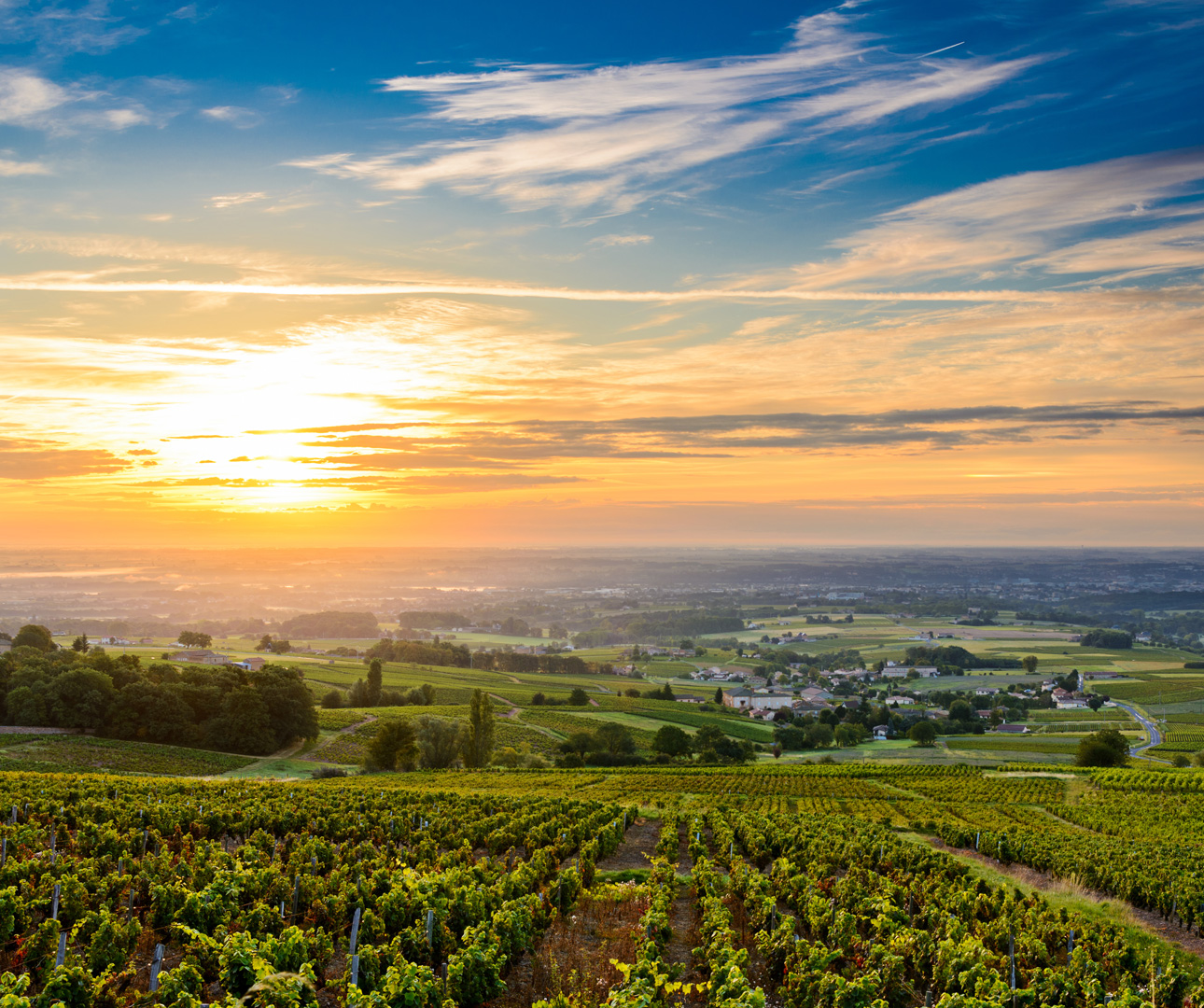 A Foodie’s Guide to the Loire Valley