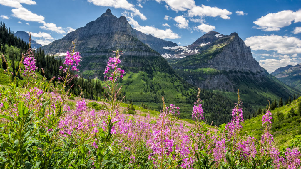 Western Canada National Parks