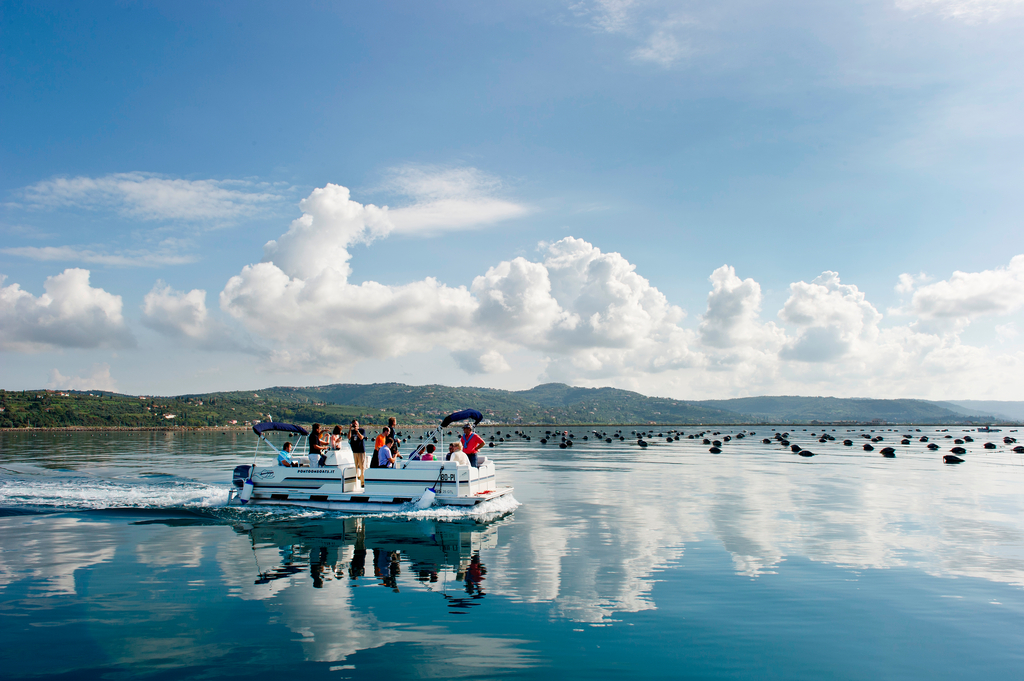 Fonda Fish Farm