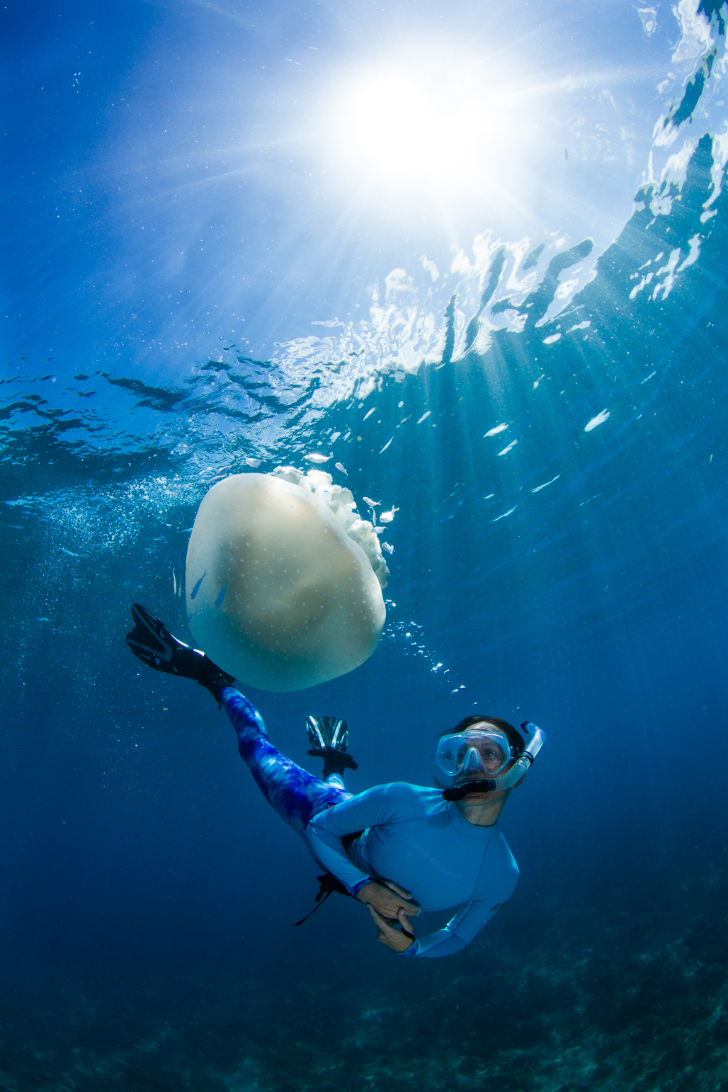 Harness the Natural Power of the Ocean to Help Our Planet -By Céline Cousteau