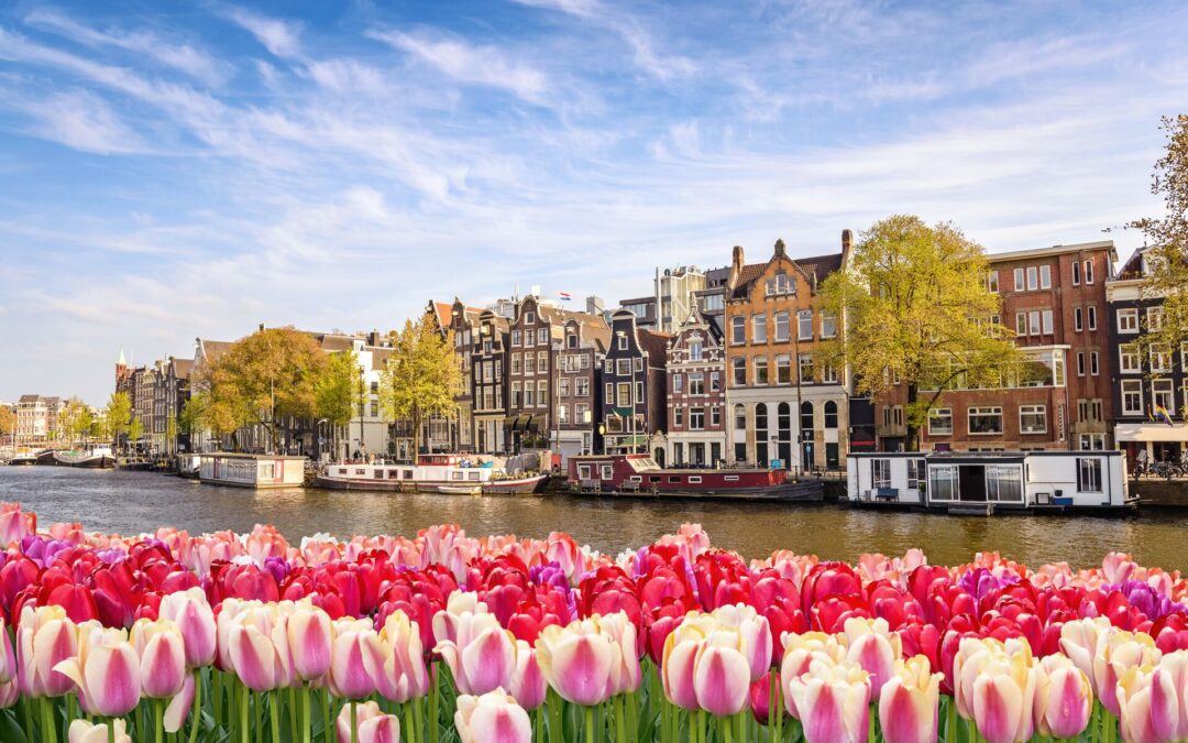 10 Great European Destinations To See Flower Shows