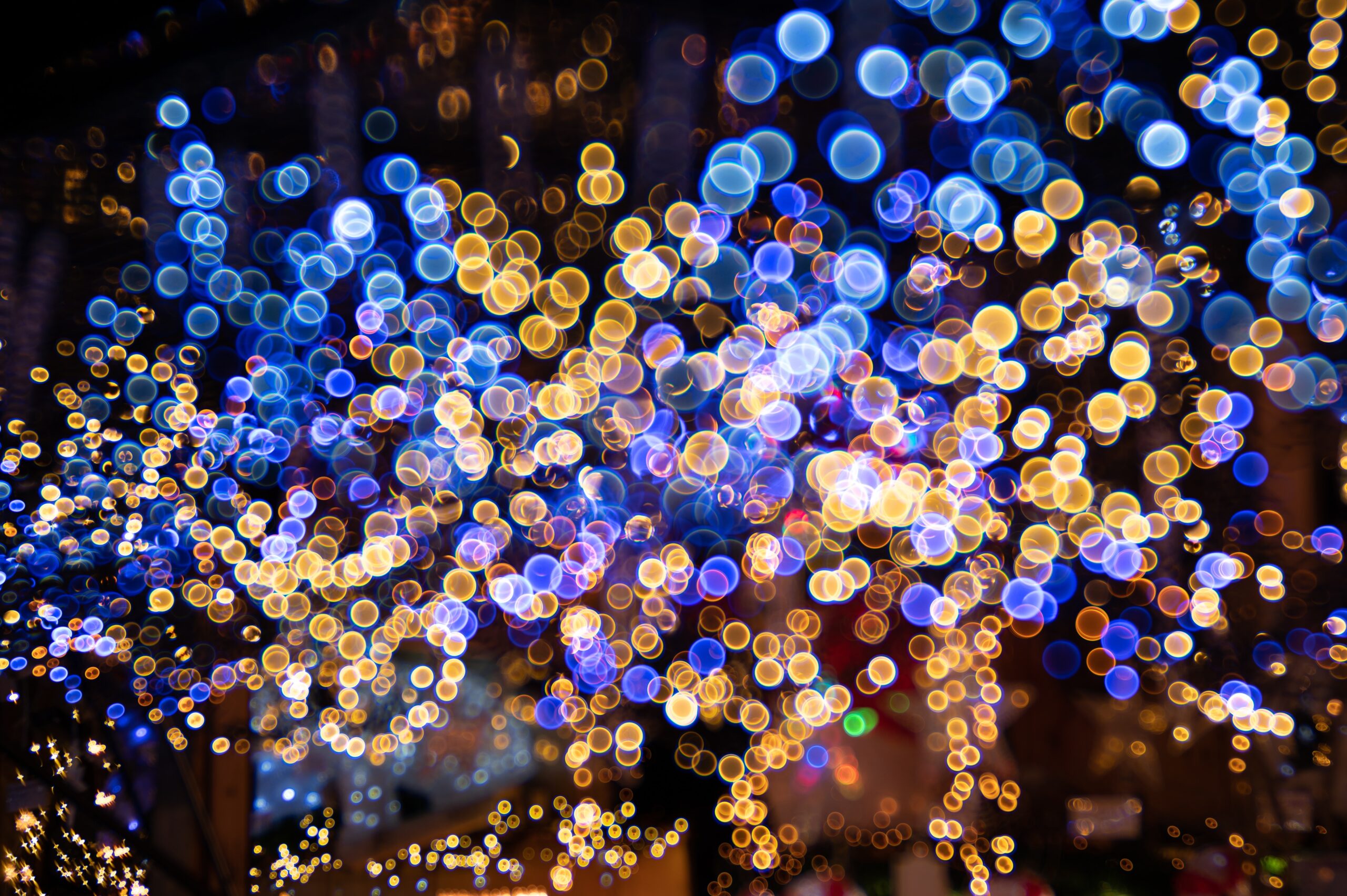 christmas lights