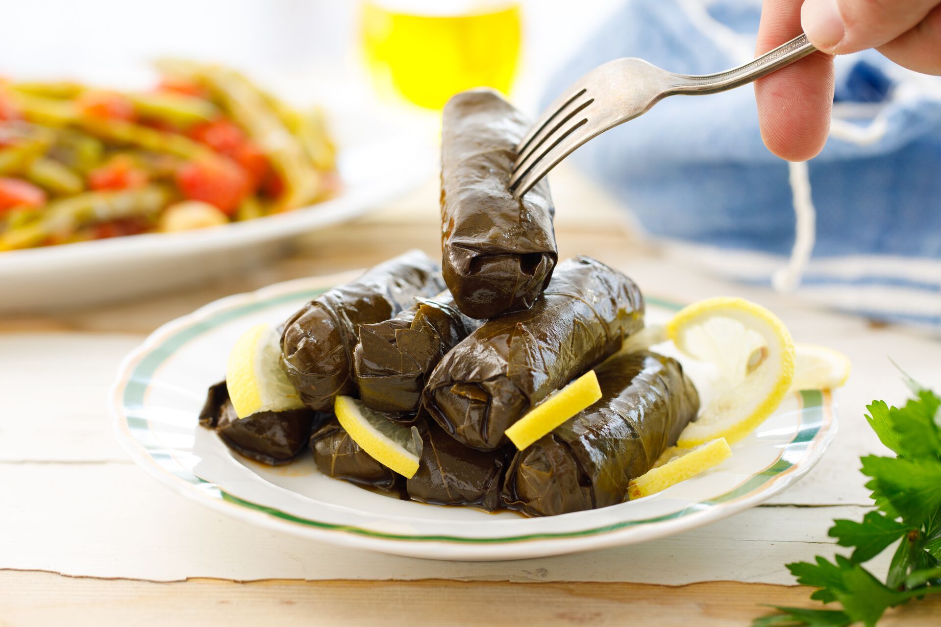 A vegetarian plate of dark green stuffed vine leaves, with slices of lemon garnish Greece.