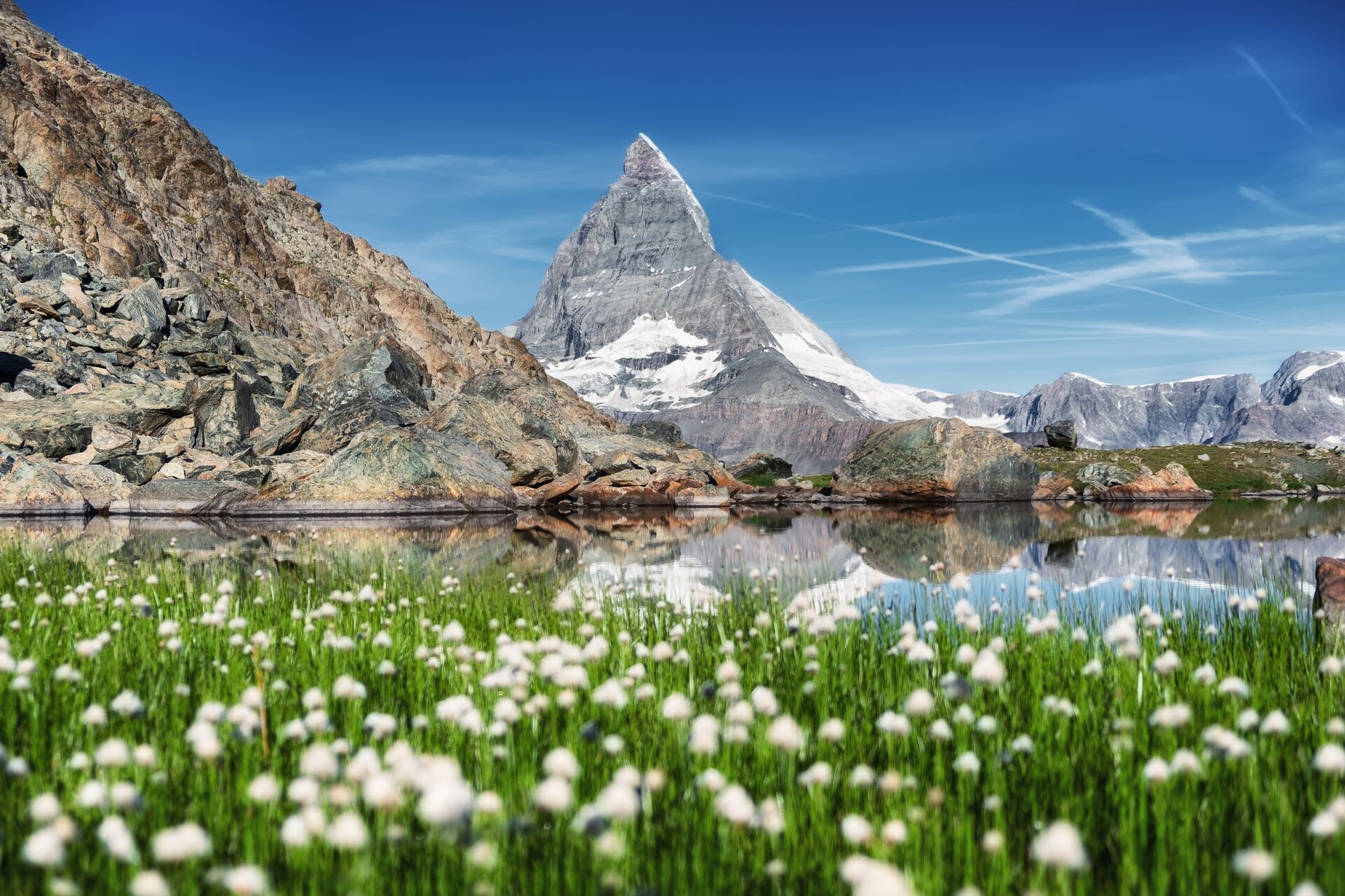Matterhorn mountain set behind a flower meadow in Switzerland