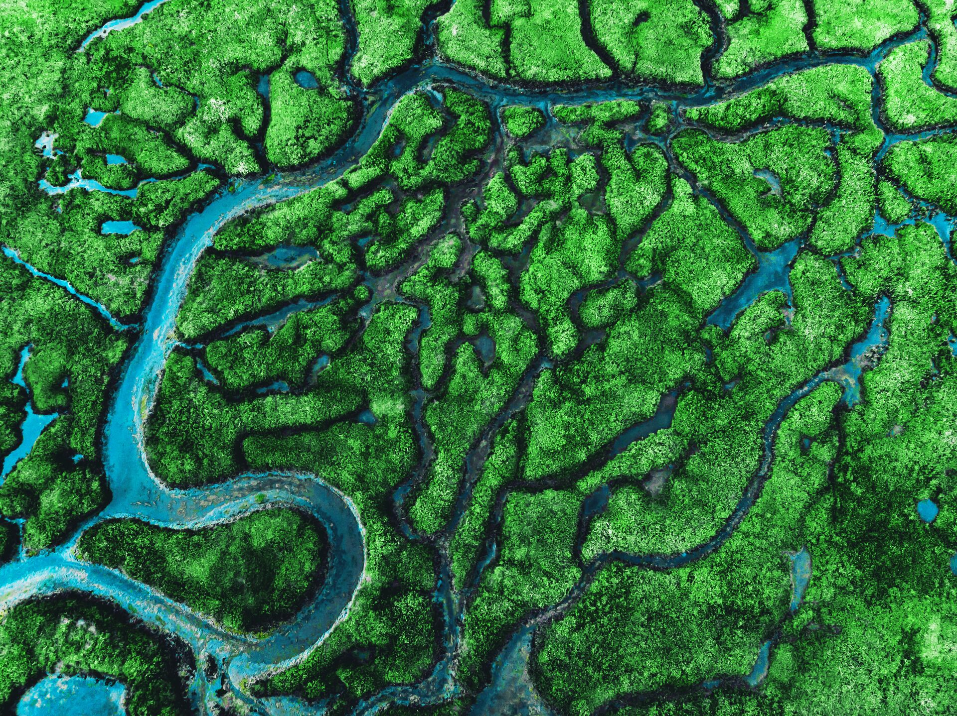 Beautiful aerial view of meander river with affluents and green vegetation