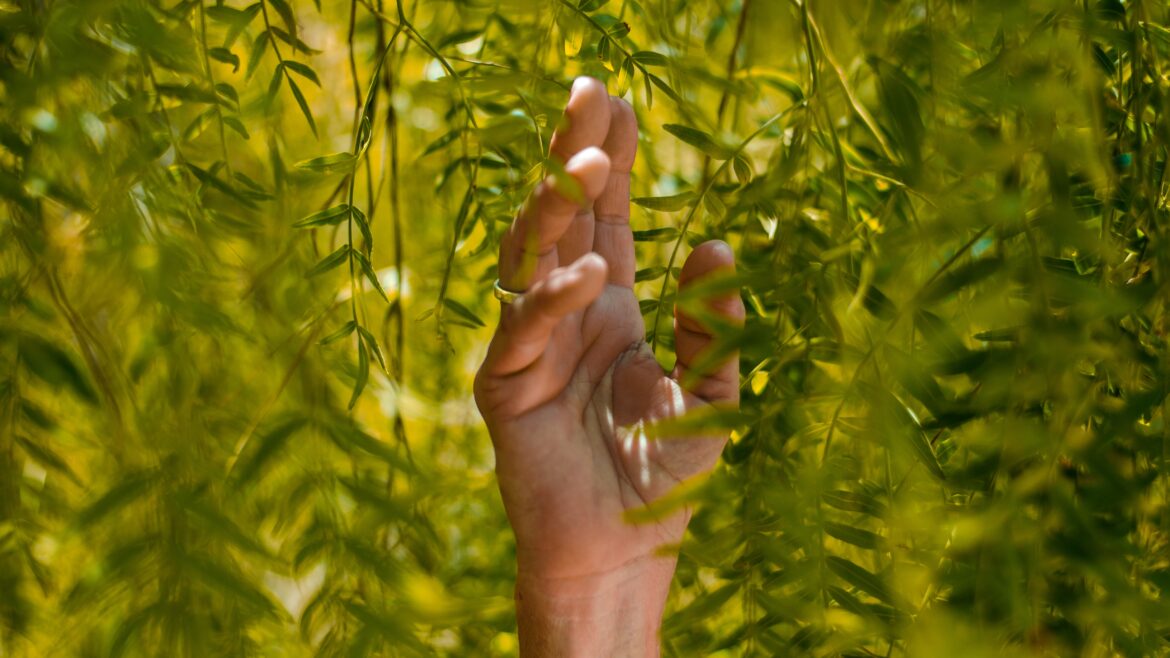 close up of hand amongst bamboo leaves