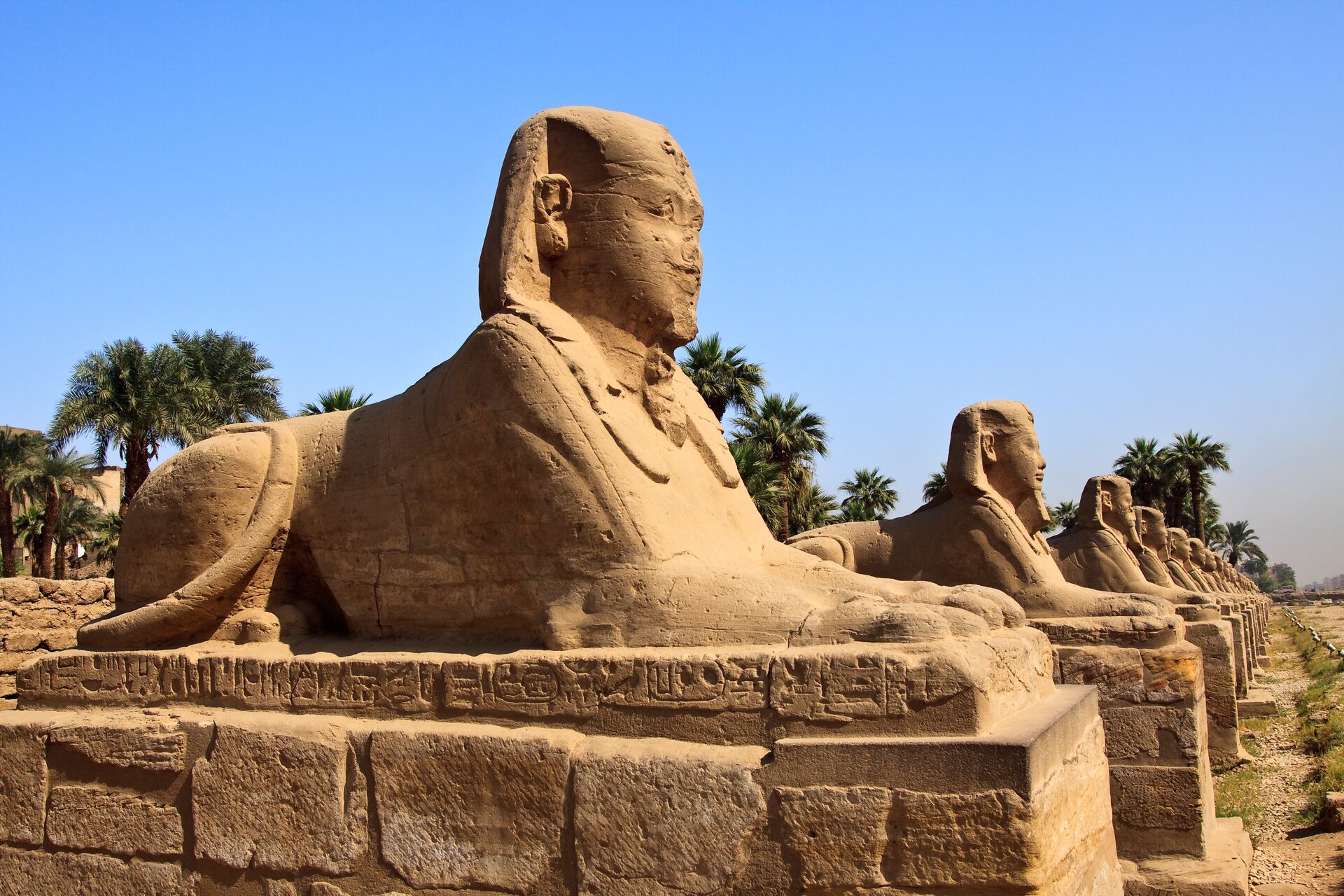 Image of Avenue of the Sphinxes, Egypt showing a row of sphinxes against a bright blue sky