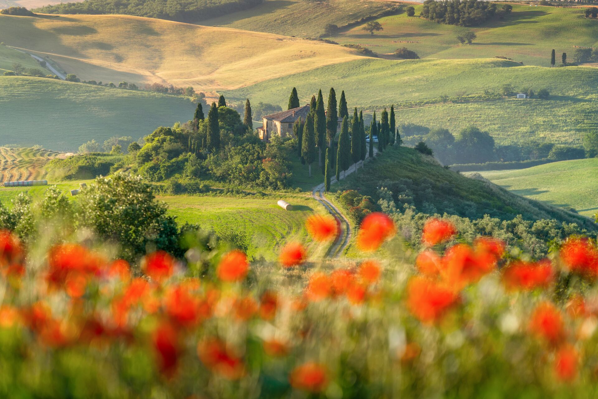 Typical Tuscan farmhouse surrounded by rolling hills and bright red poppies in the foreground
