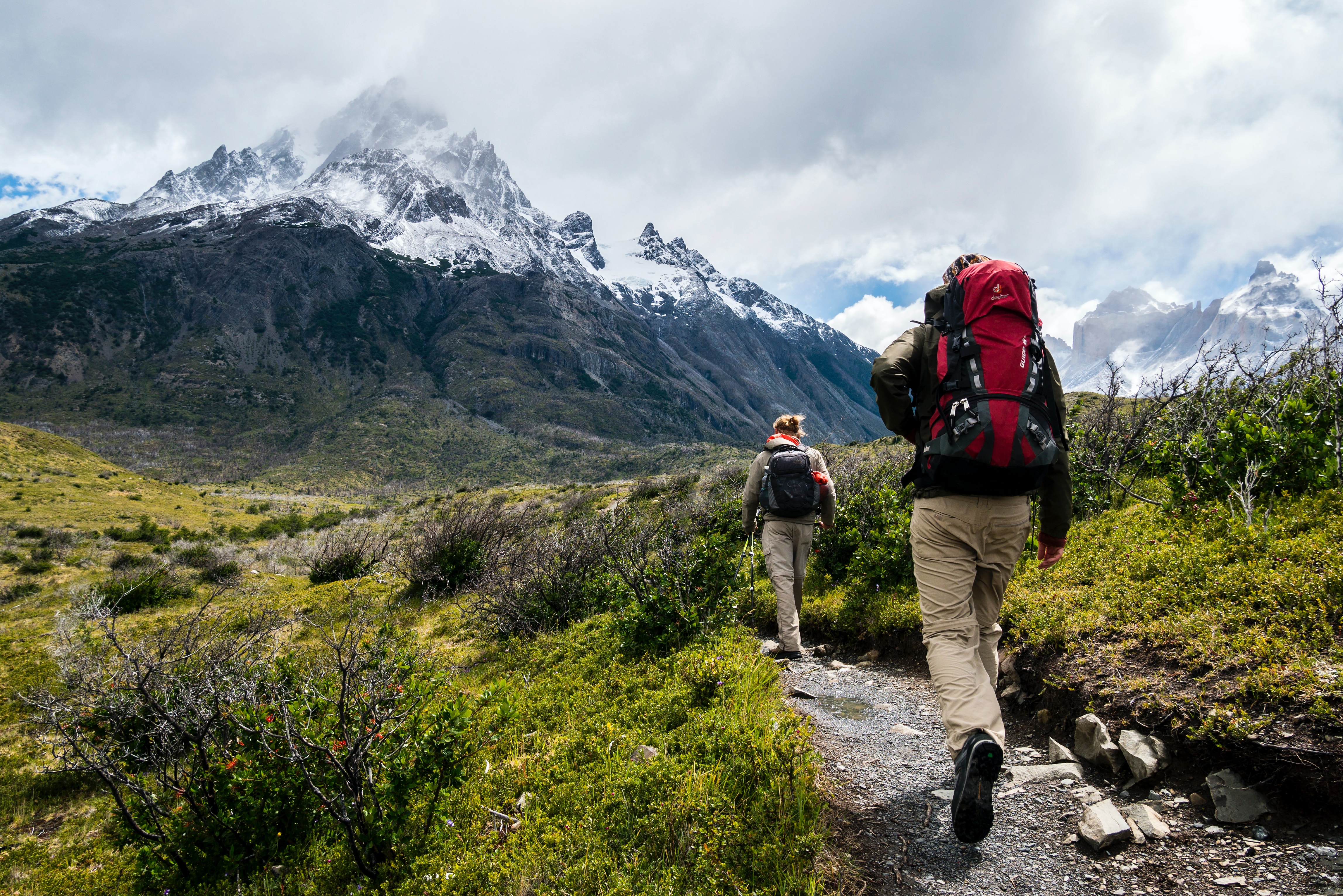 Two happy explorers with their backpacks on are walking towards a huge mountain range in Patagaonia. As it's September, there's still grass and flowering buds on the tundra.