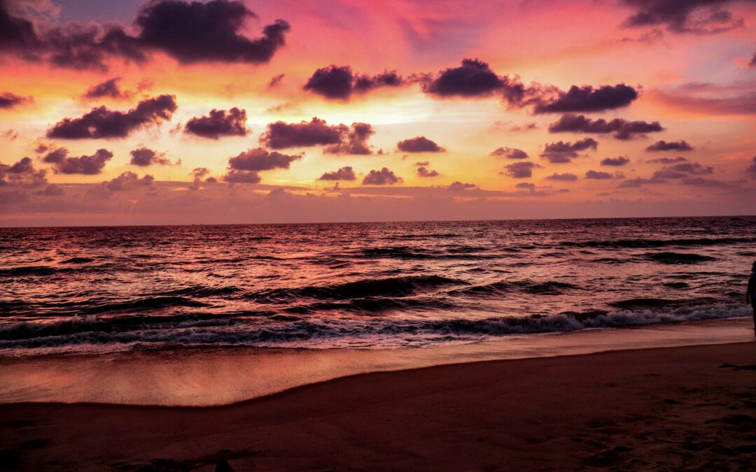 Discover the World’s Best Pink Beaches and How the Phenomenon Happens